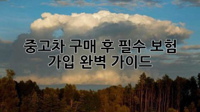 중고차 구매 후 필수! 보험 가입 완벽 가이드